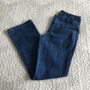 Chadwick’s Comfort Waist Straight Pull on Jeans